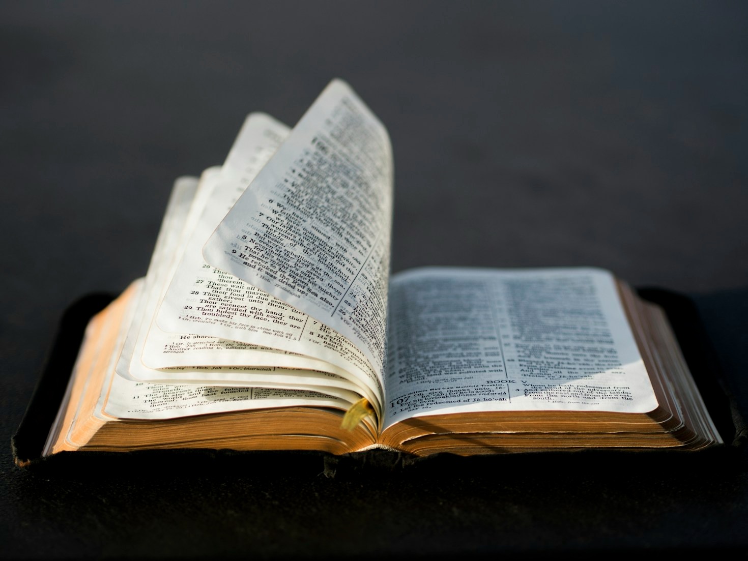 Cinco lições essenciais das parábolas de Jesus