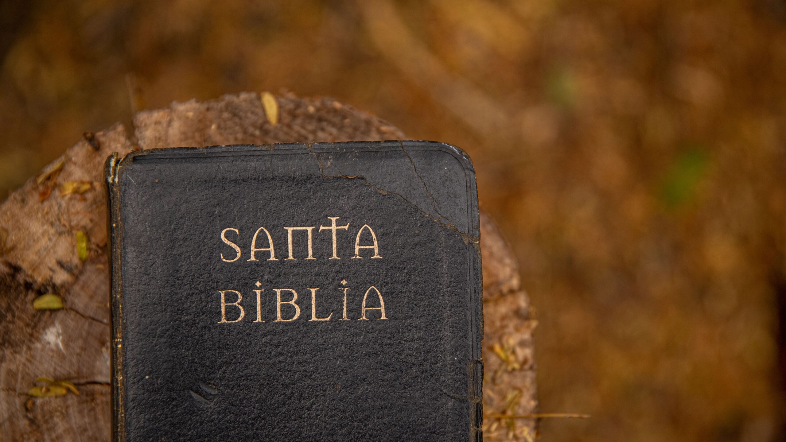 Qual o Menor Livro da Bíblia? Descubra e Surpreenda-se